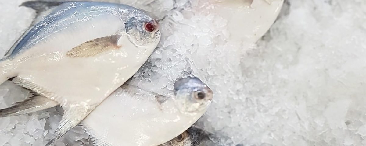 fish, fresh fish, nature, seafood, wet market